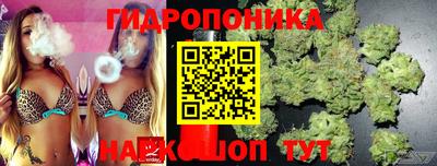 бошки Жуковский